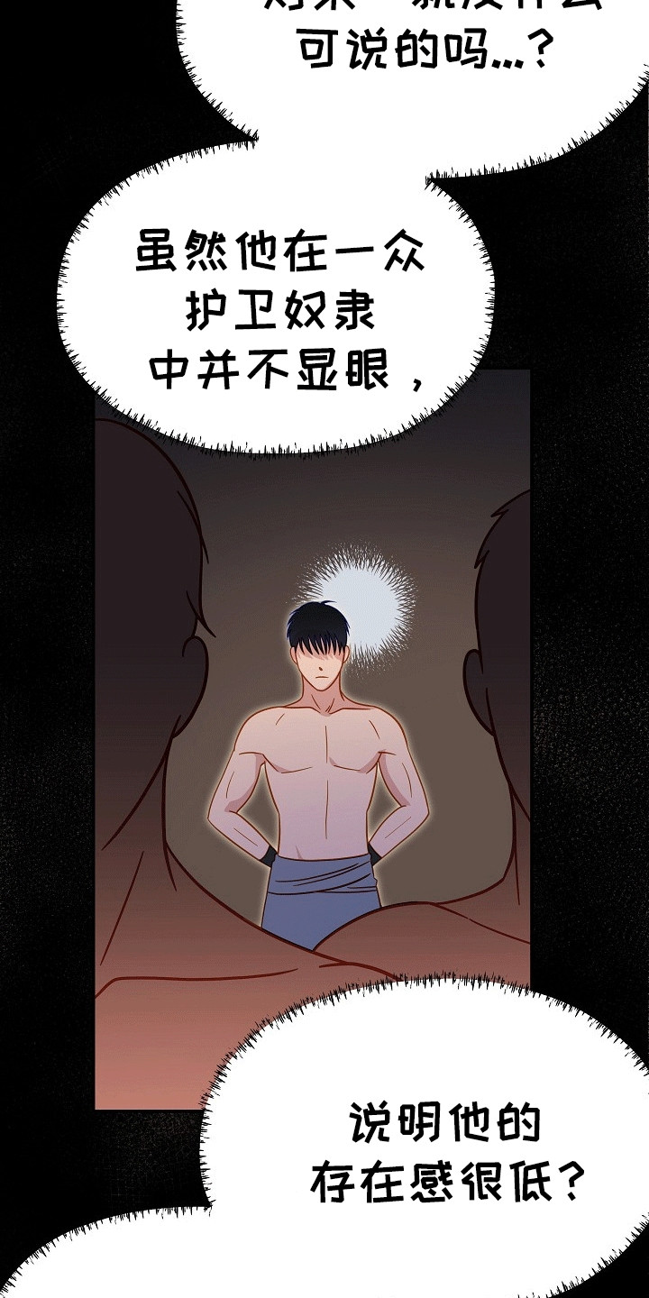 皇帝的垂怜漫画,第13章：猜测3图