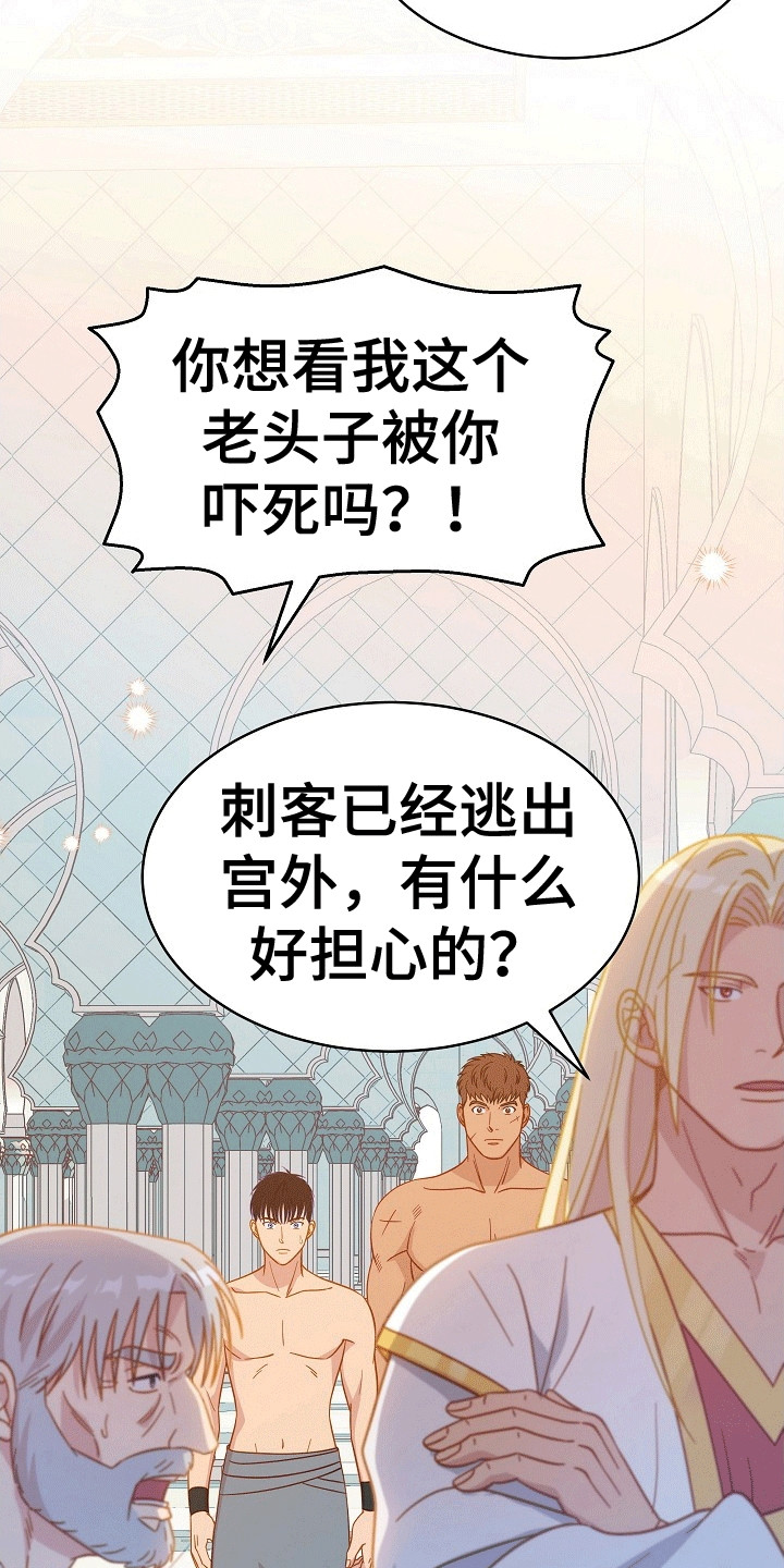 皇帝的垂怜漫画,第5章：护卫1图