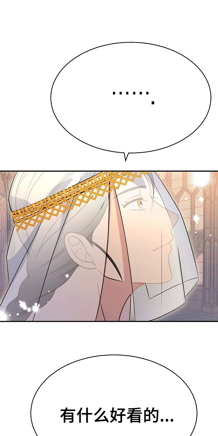 皇帝的垂怜漫画,第17章：唯一的妹妹2图