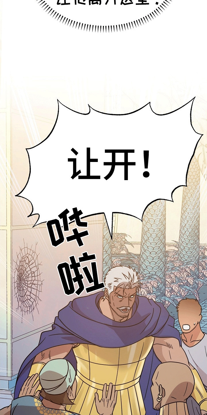 皇帝的妻子漫画,第8章：强闯5图