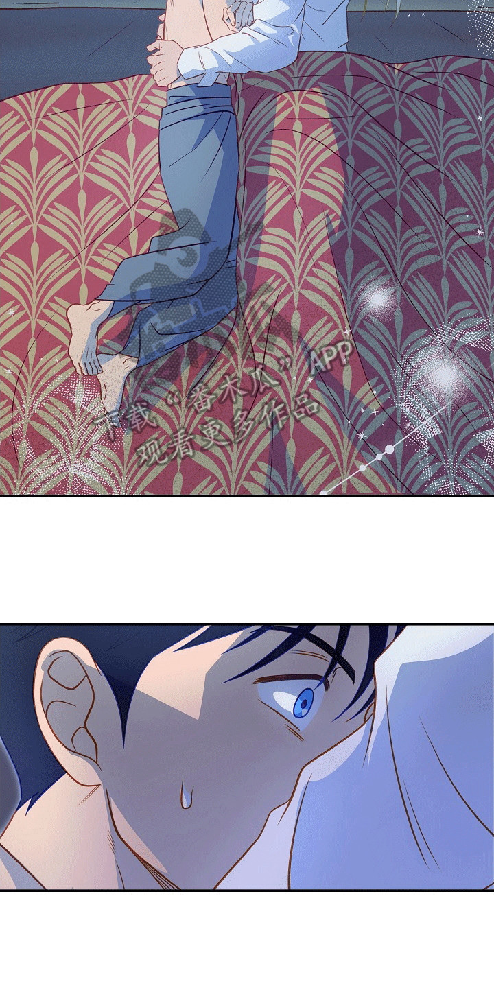 皇帝的垂怜漫画,第20章：受伤4图