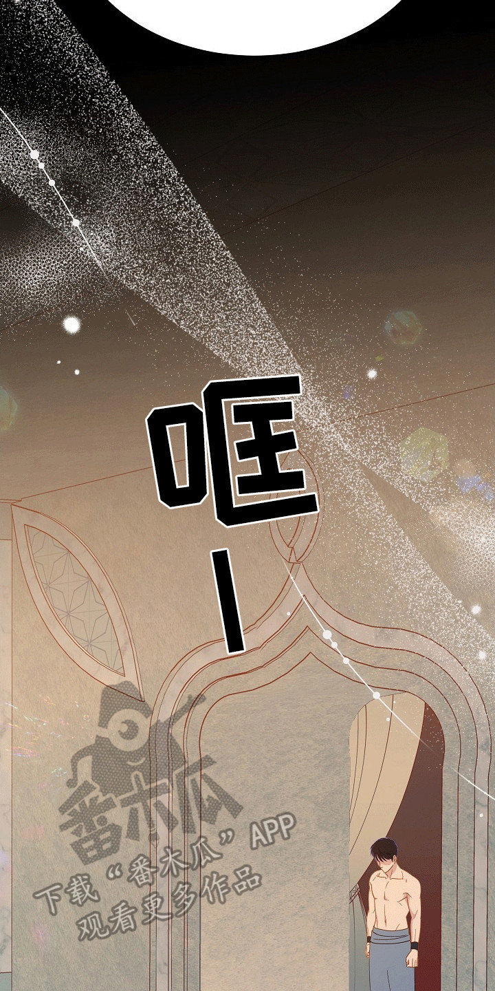 皇帝的垂怜漫画,第13章：猜测3图