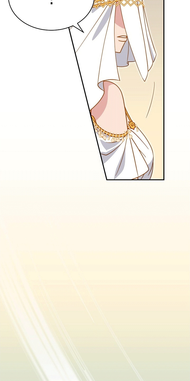 皇帝的新装视频漫画,第10章：公主3图