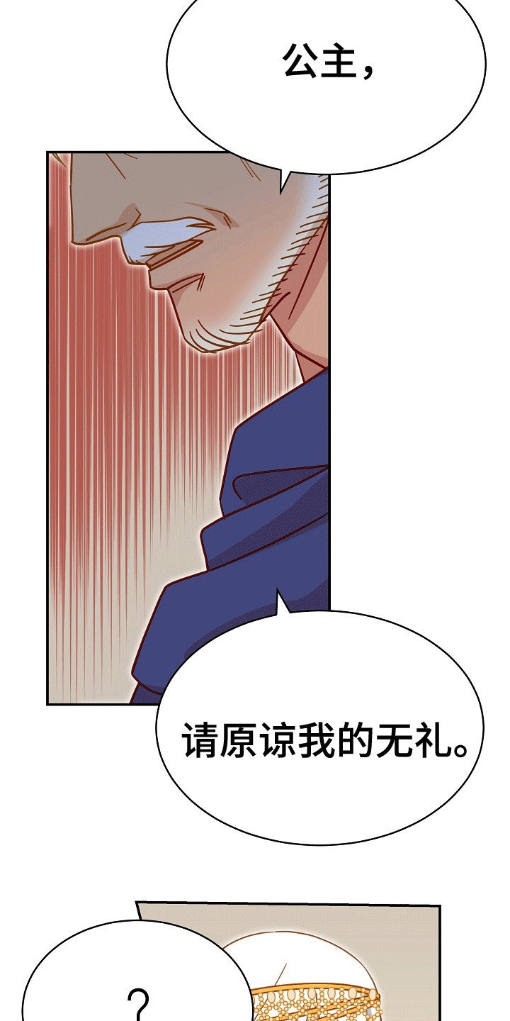 皇帝的新装视频漫画,第10章：公主2图