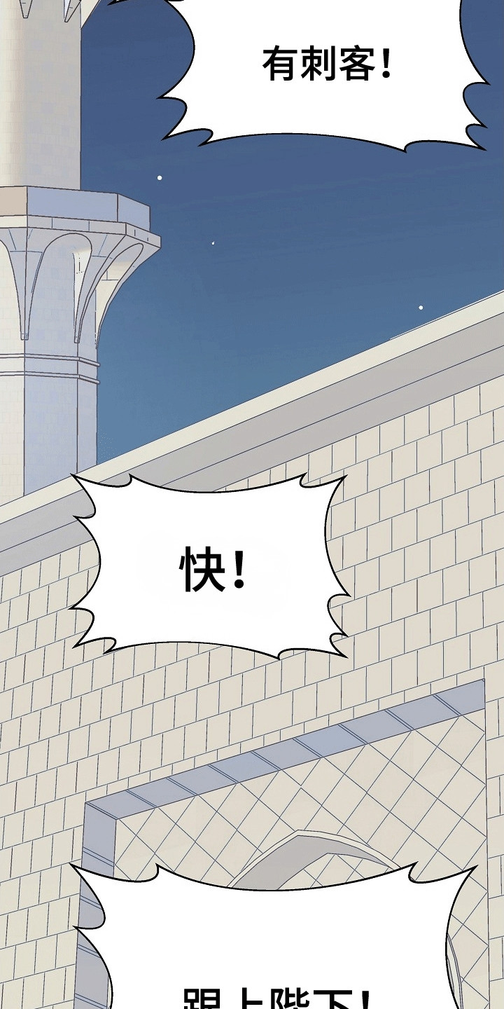 皇帝的垂怜漫画,第2章：刺客2图
