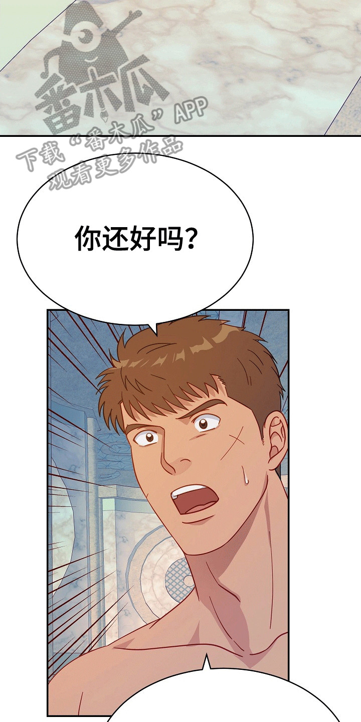 皇帝的垂怜漫画,第13章：猜测1图
