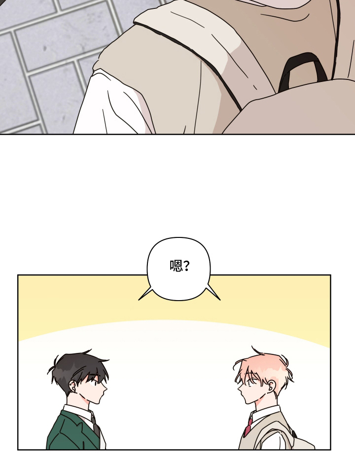 抓胃又抓心漫画,第20章：什么情况5图