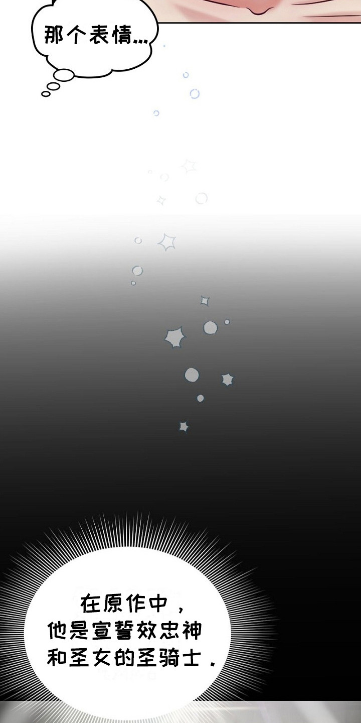 纯洁恶女漫画,第1章：王女与圣骑士1图