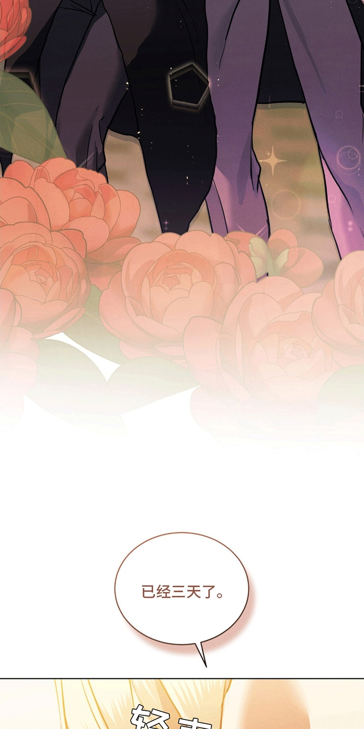 第4章：再次见面3