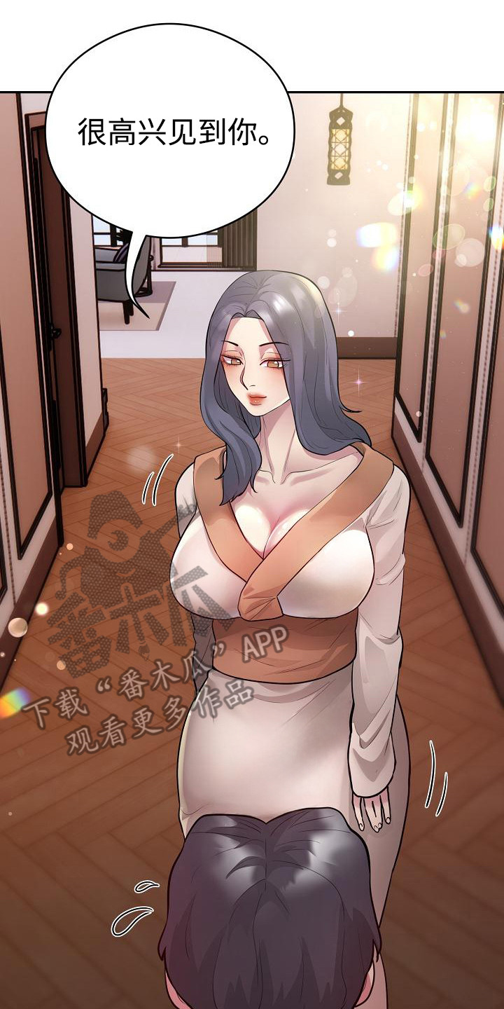 审计推动防范化解重大风险漫画,第15章：明星5图