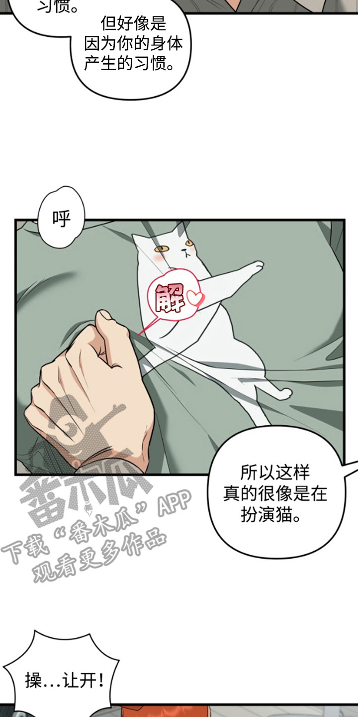 嘴唇烙印韩漫又叫什么名字漫画,第10章：猫耳朵2图