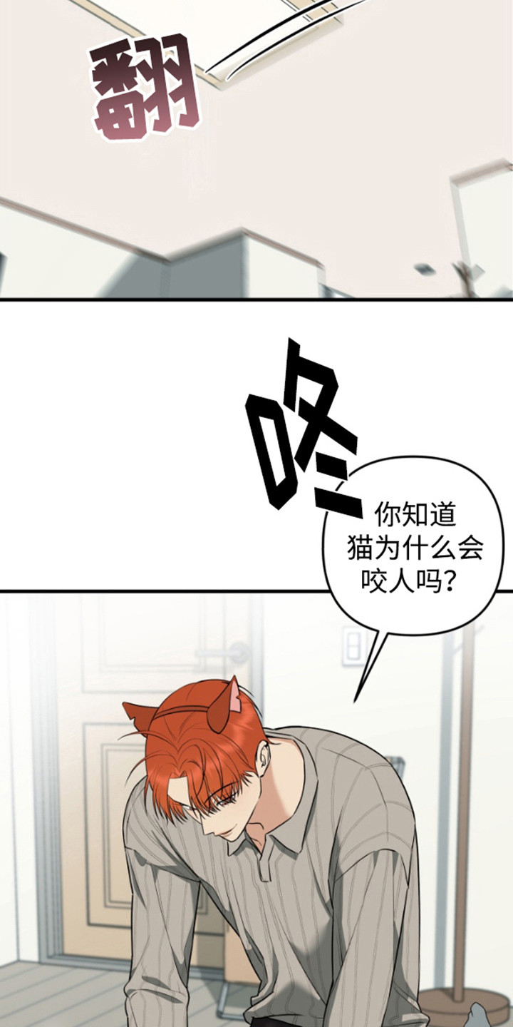嘴唇烙印韩漫又叫什么名字漫画,第10章：猫耳朵5图