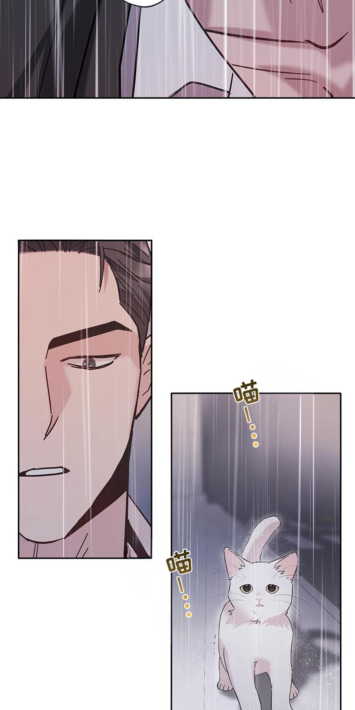 软心大佬爱上我漫画,第2章：猫咪3图