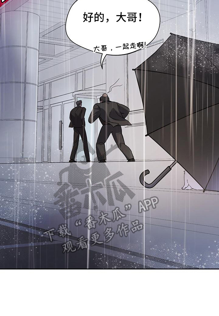 软心大佬爱上我漫画,第2章：猫咪3图