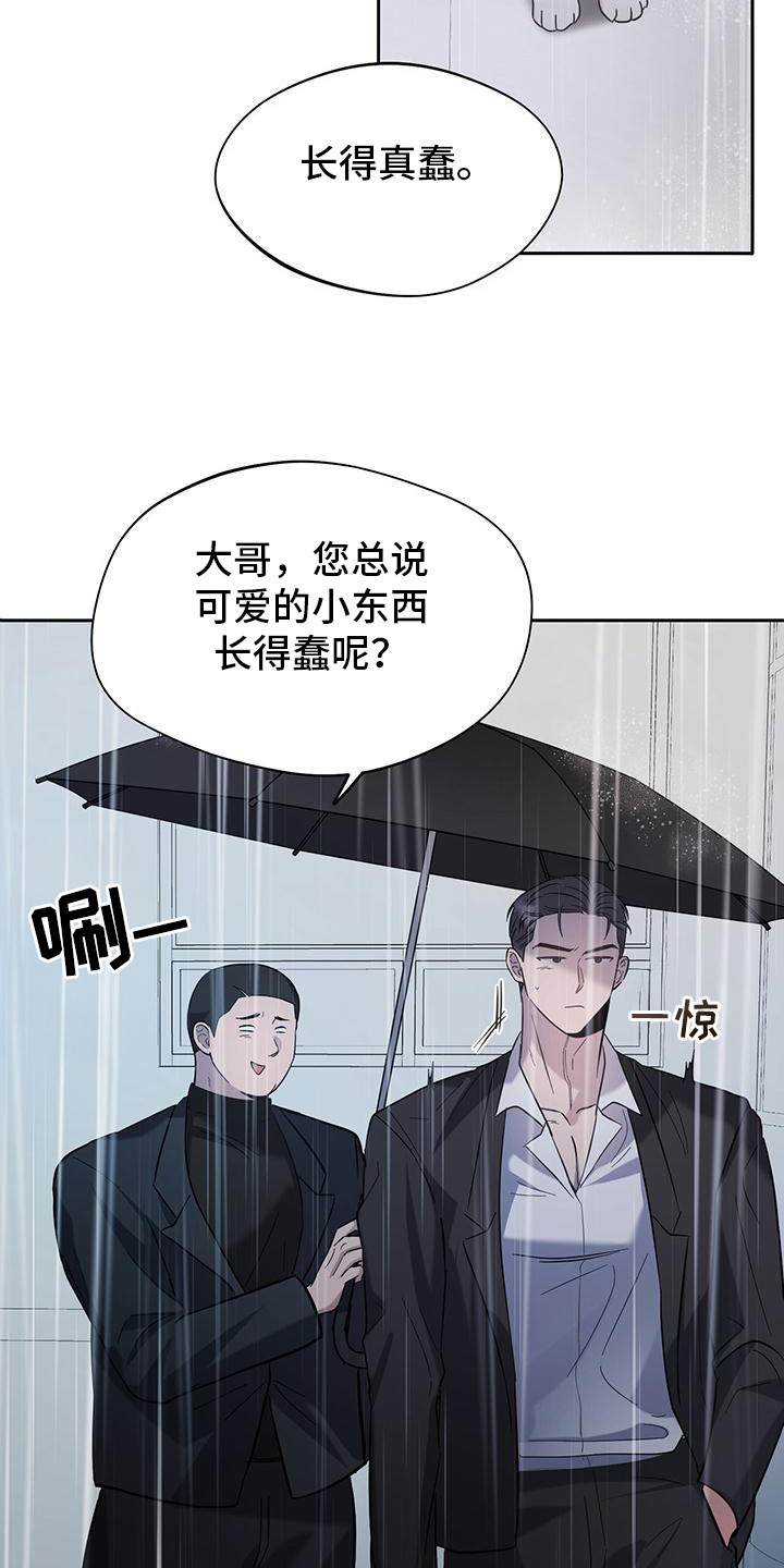 软心大佬爱上我漫画,第2章：猫咪4图