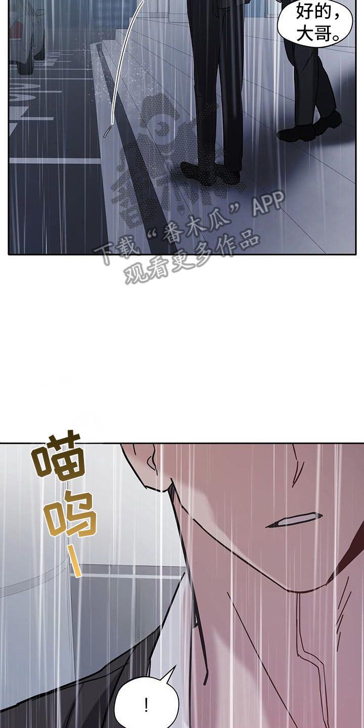 软心大佬爱上我漫画,第2章：猫咪2图