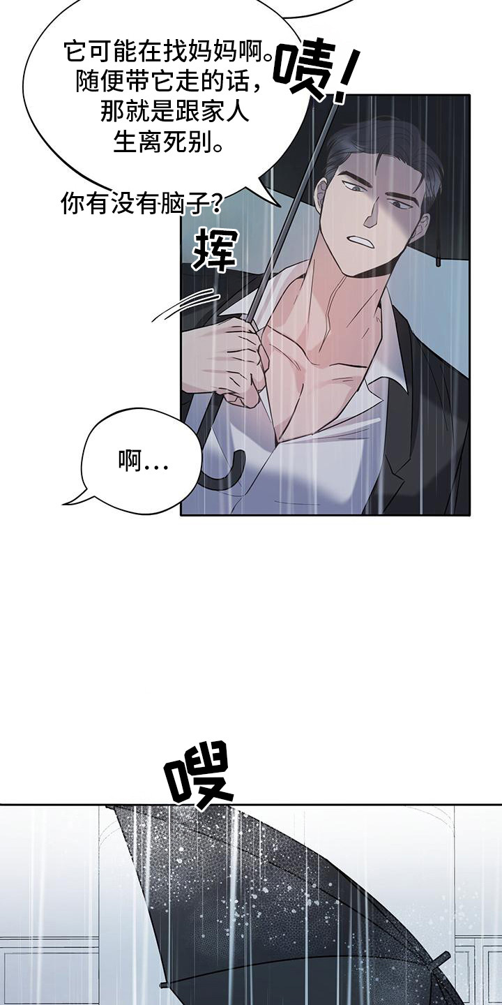 软心大佬爱上我漫画,第2章：猫咪1图