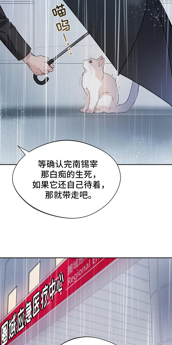 软心大佬爱上我漫画,第2章：猫咪2图