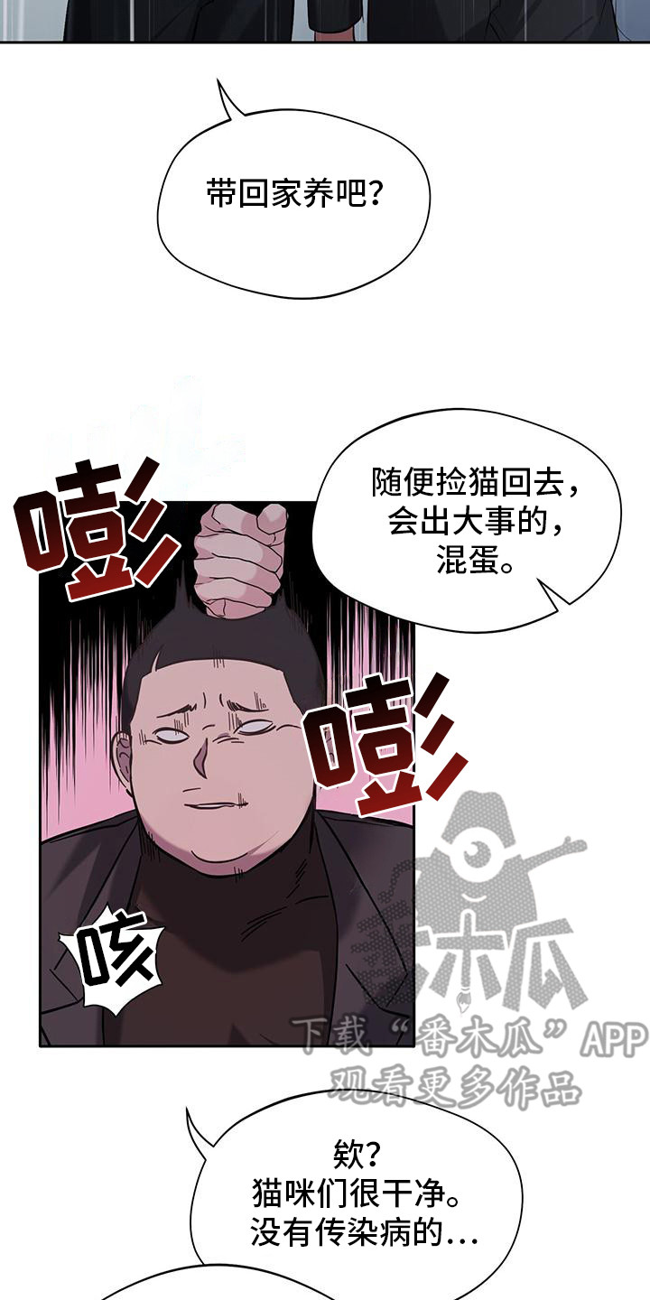 软心大佬爱上我漫画,第2章：猫咪5图