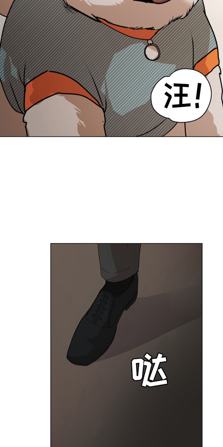 融情曲奇漫画,第18章：命令3图