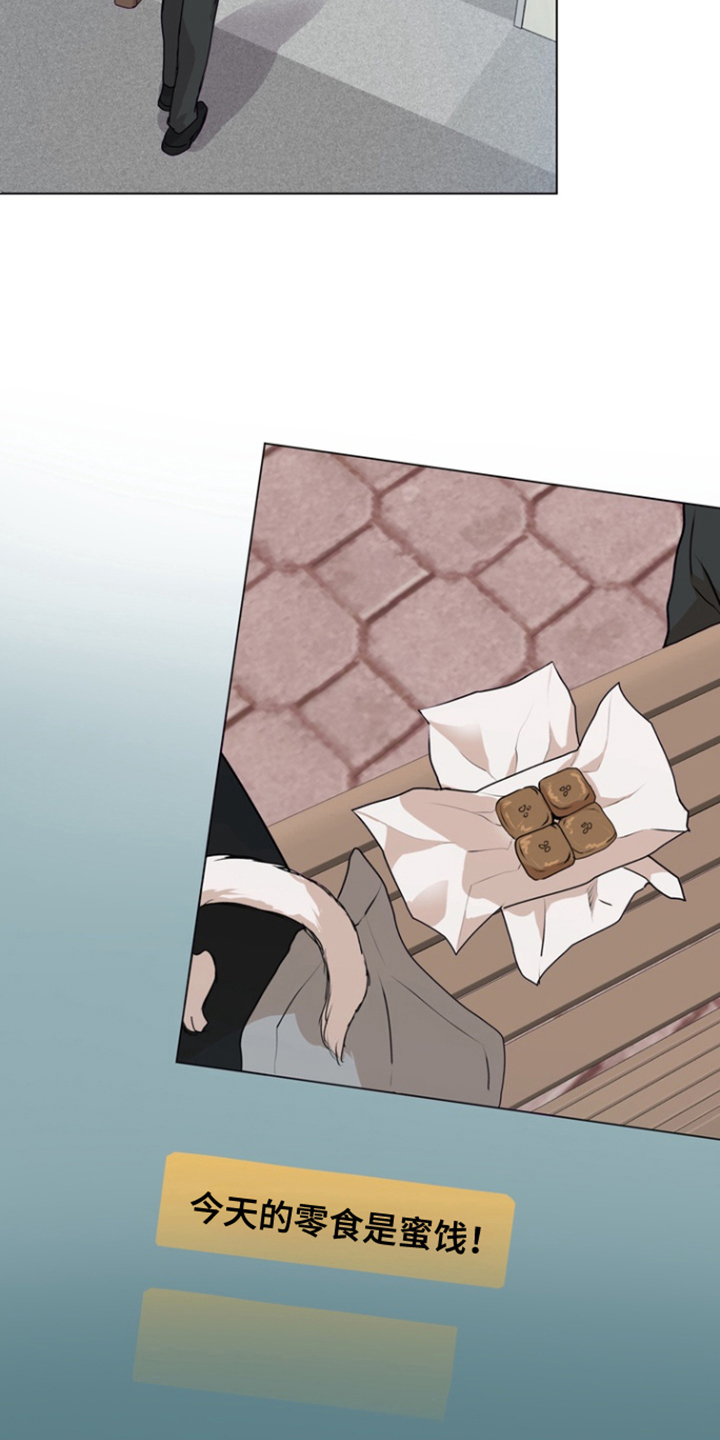 融情曲奇漫画,第17章：怀疑对象3图