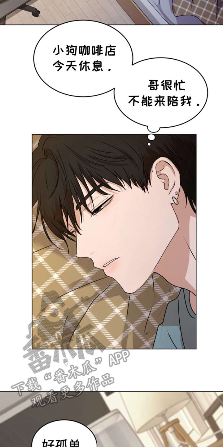 融情曲奇漫画,第12章：饼干4图