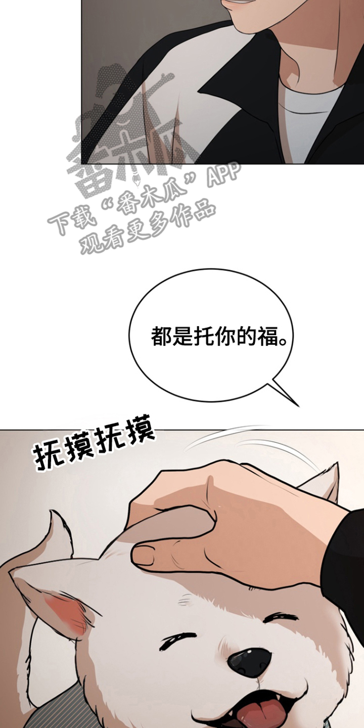 融情曲奇漫画,第18章：命令2图