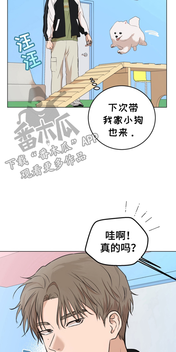 融情曲奇漫画,第5章：宠物咖啡店4图