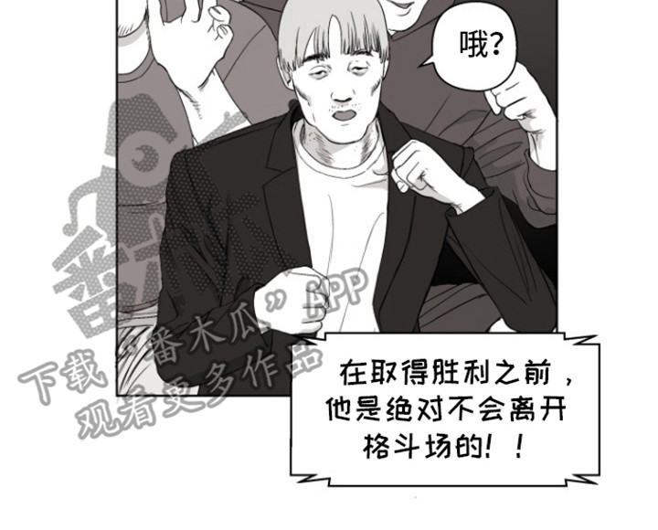 不屈的冠军漫画,第15章：里基3图