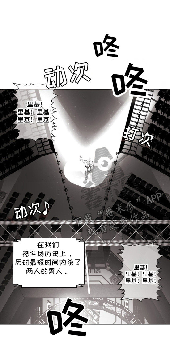 不屈的冠军漫画,第15章：里基5图