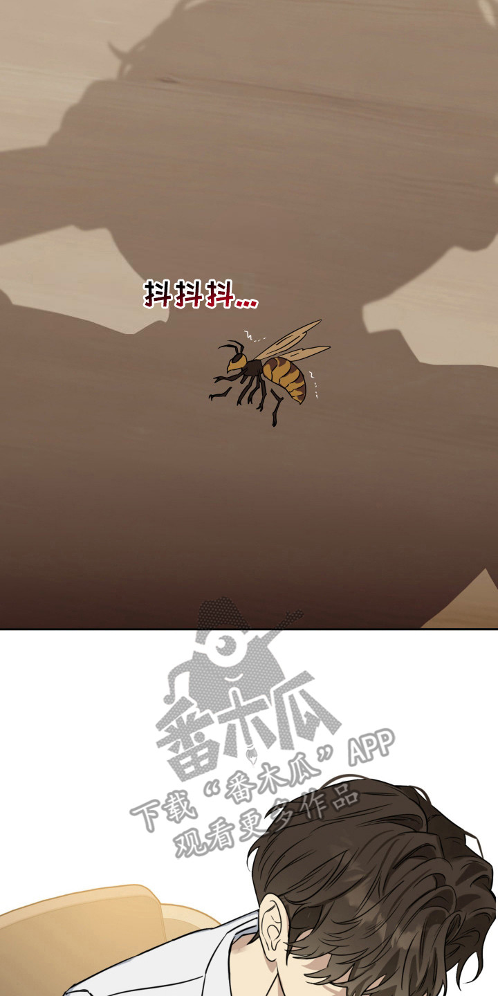 第15章：不敢下手4