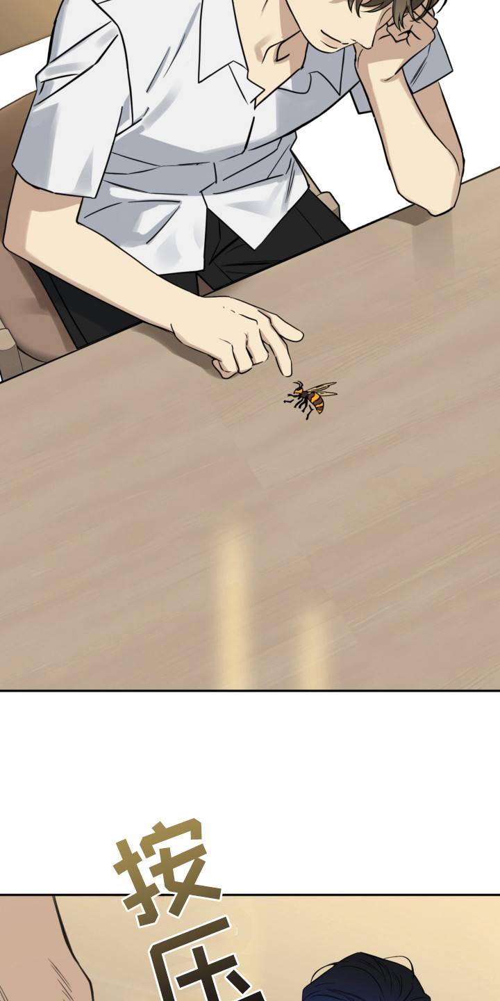 第15章：不敢下手0