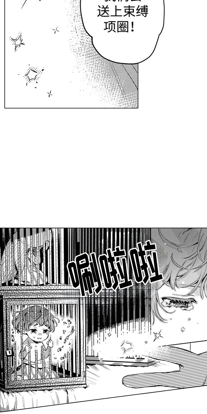 大魔法师的爱女漫画,第16章：买卖精灵1图