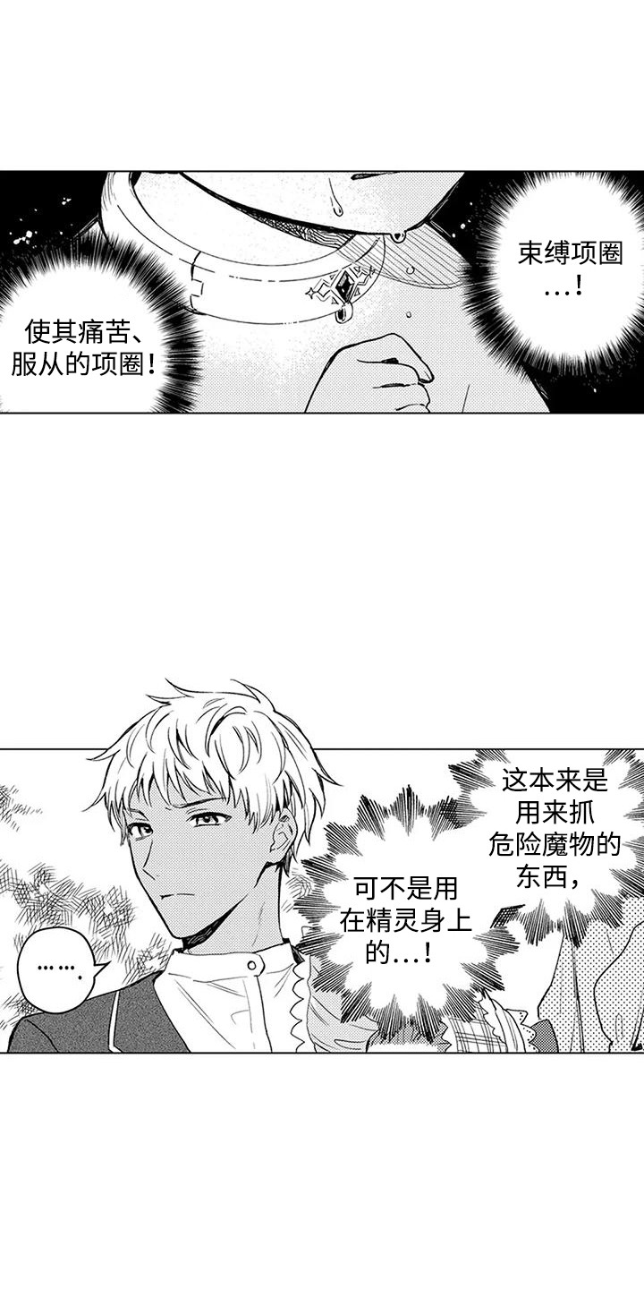 大魔法师的爱女漫画,第16章：买卖精灵4图
