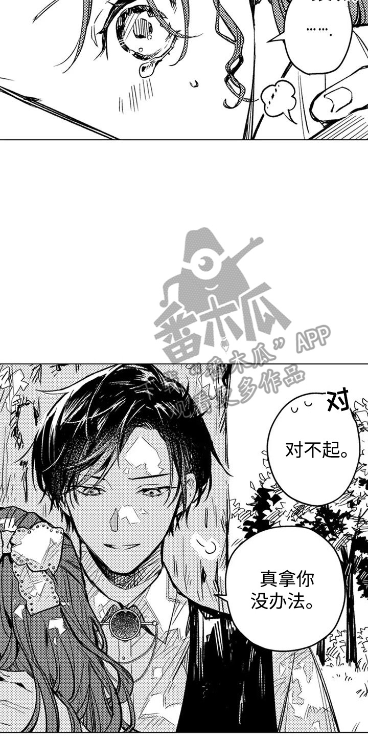 大魔法师女主漫画,第11章：受宠1图