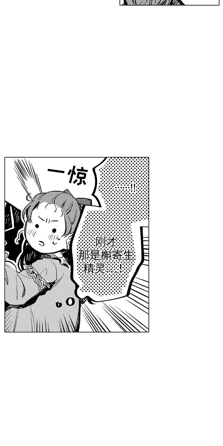 大魔法师的次元回廊能获得什么漫画,第13章：檞寄生精灵3图