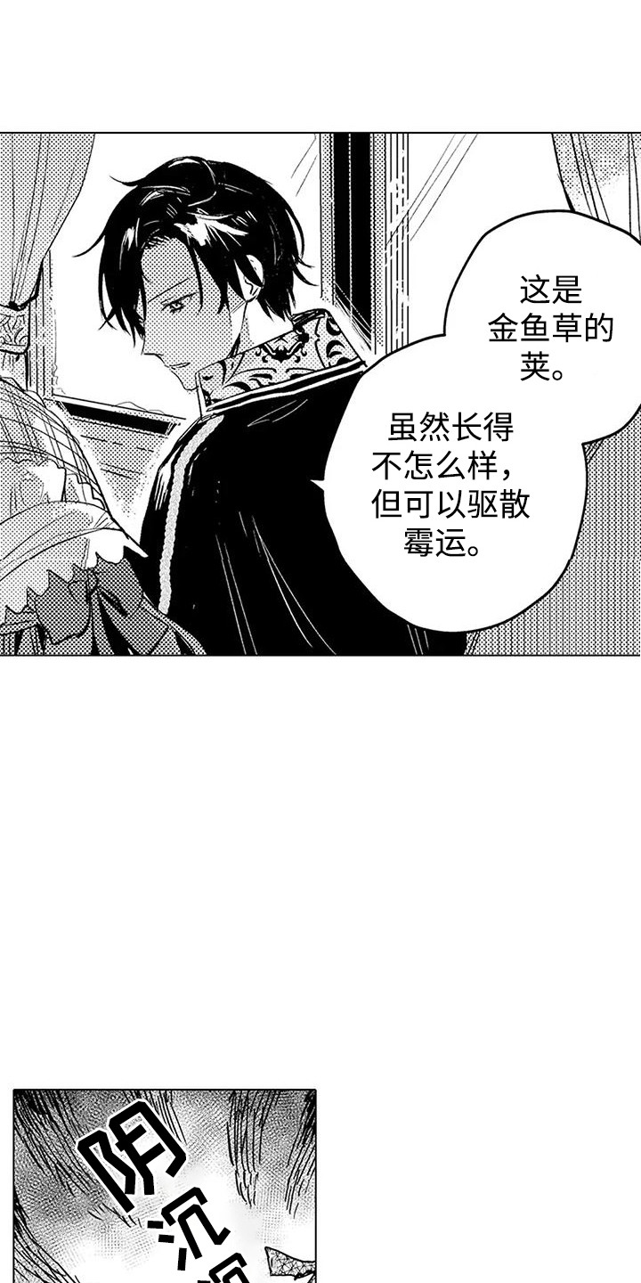 大魔法师的女儿漫画酷漫屋漫画,第15章：夸赞3图