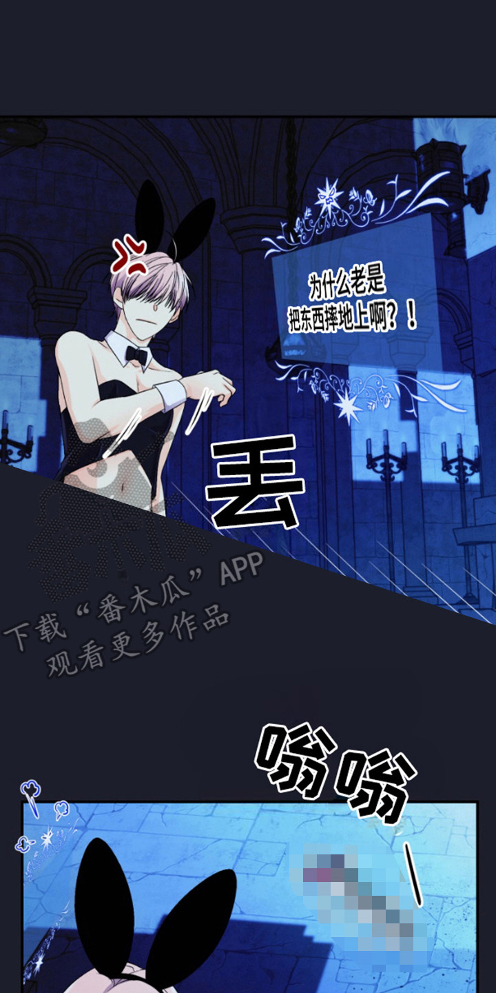 纯棉柔软实验毛巾漫画,第11章：宝箱装备2图