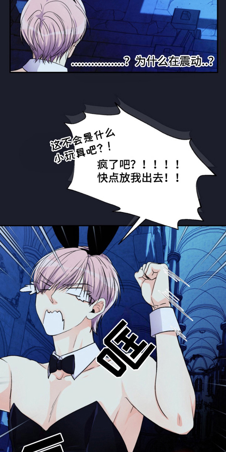 纯棉柔软实验毛巾漫画,第11章：宝箱装备3图