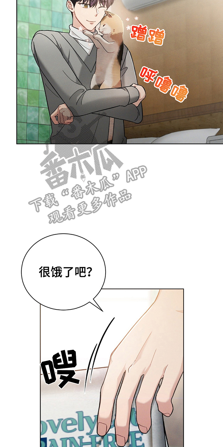 劲爆dj电子琴漫画,第13章：诱导4图