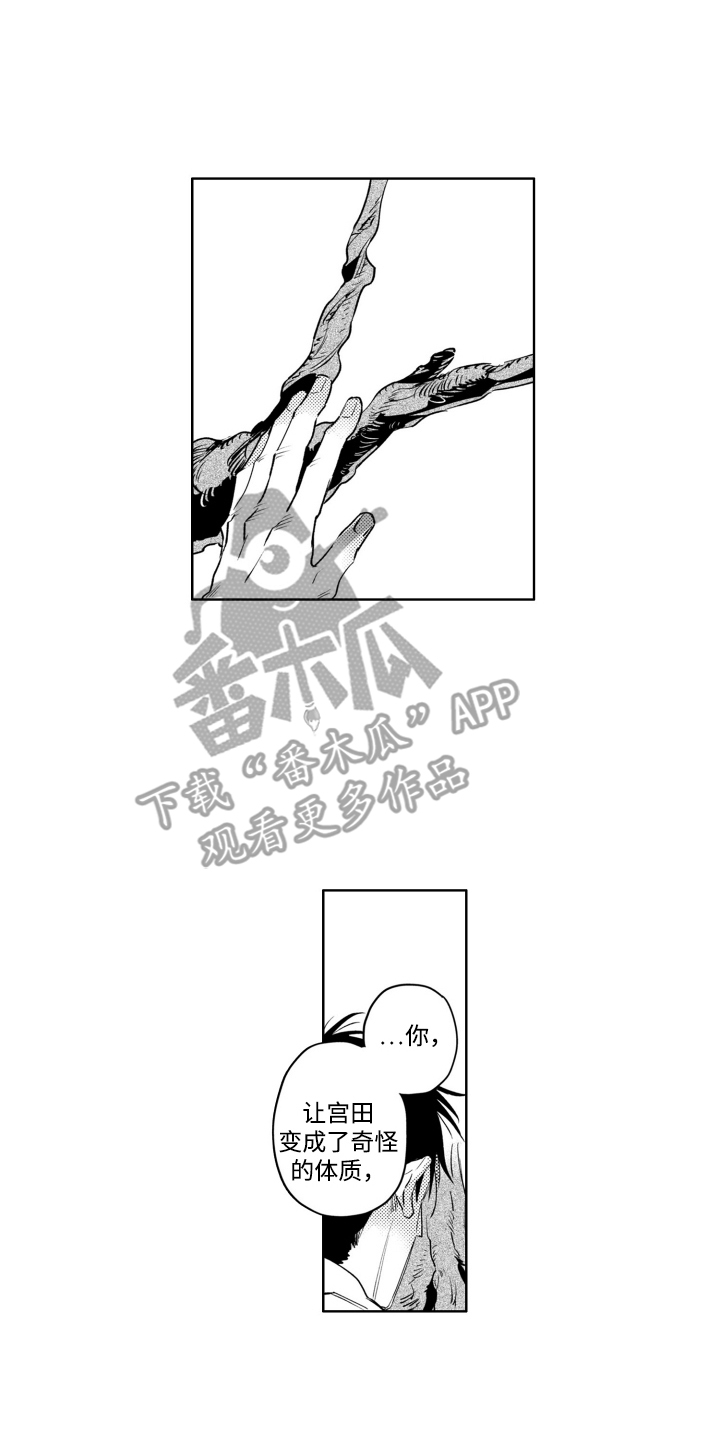 红苹果乐园漫画,第8章：很耀眼4图