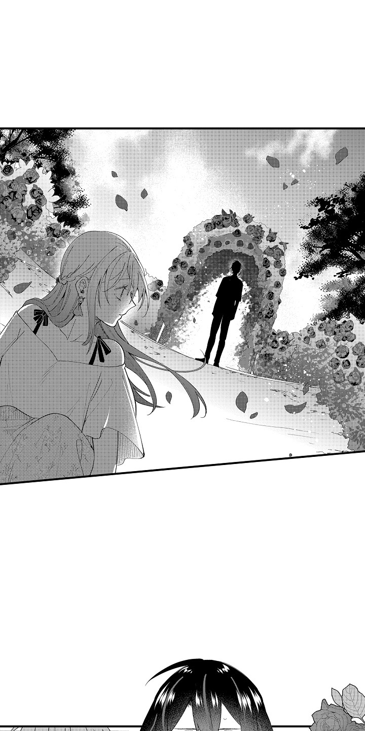 前世姻缘今生相遇漫画,第2章：再相遇4图