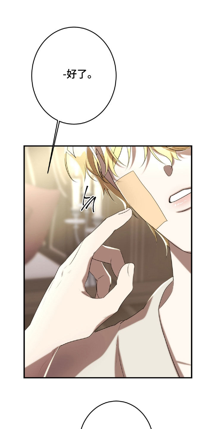 与生俱来的贵族气质漫画,第47章：处理伤口5图