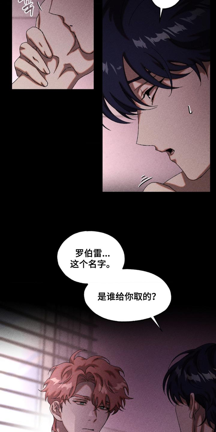 第95章：失去意识了1