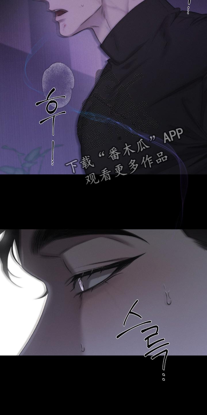 绿野仙踪漫画,第45章：【第二季】长相2图
