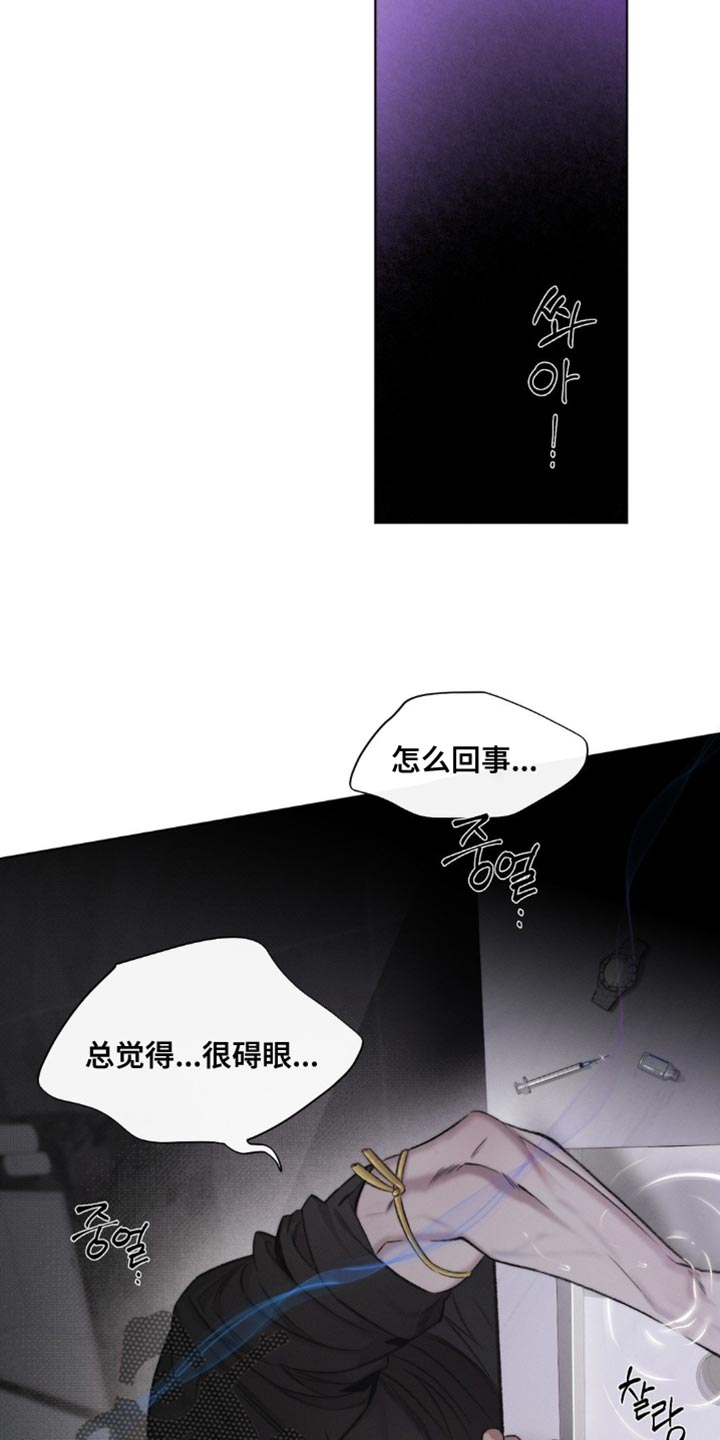 绿野仙踪漫画,第45章：【第二季】长相3图