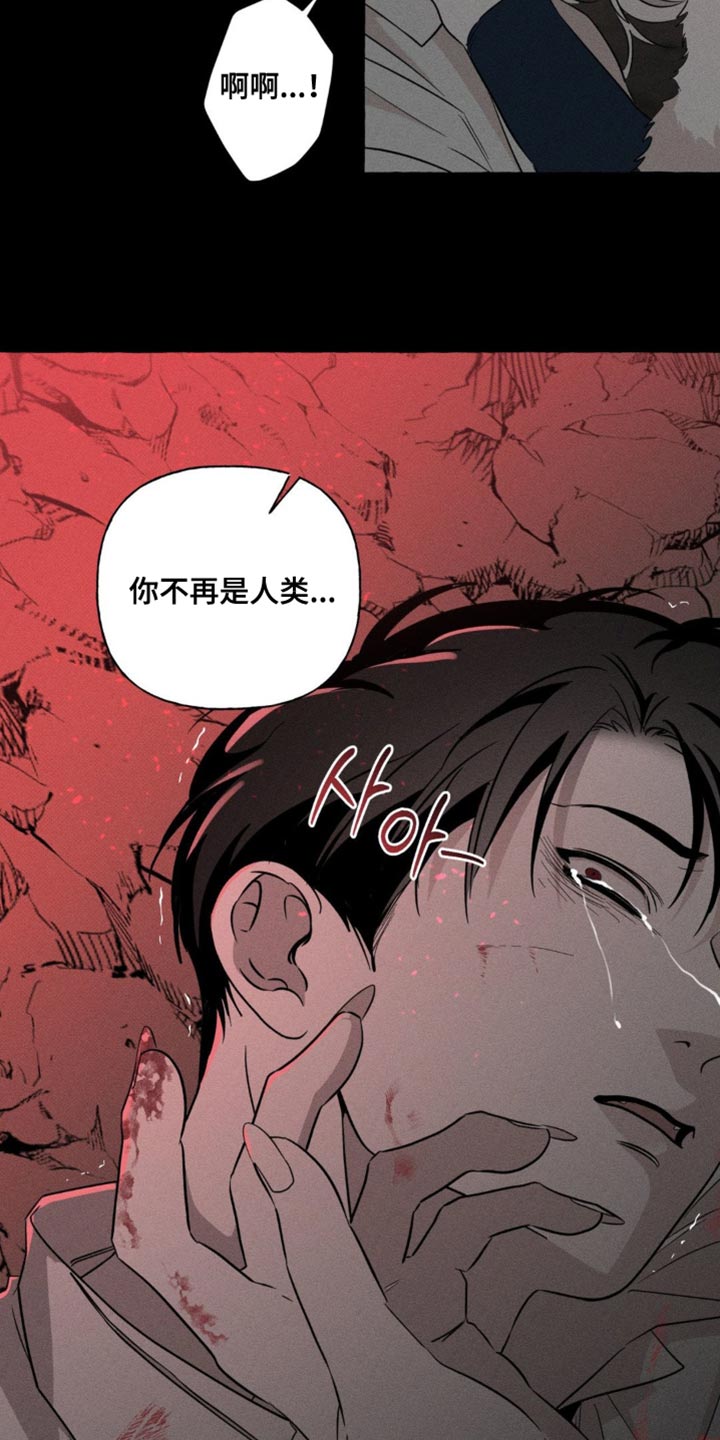 血族囚笼有哪些角色漫画,第84章：我回来了3图