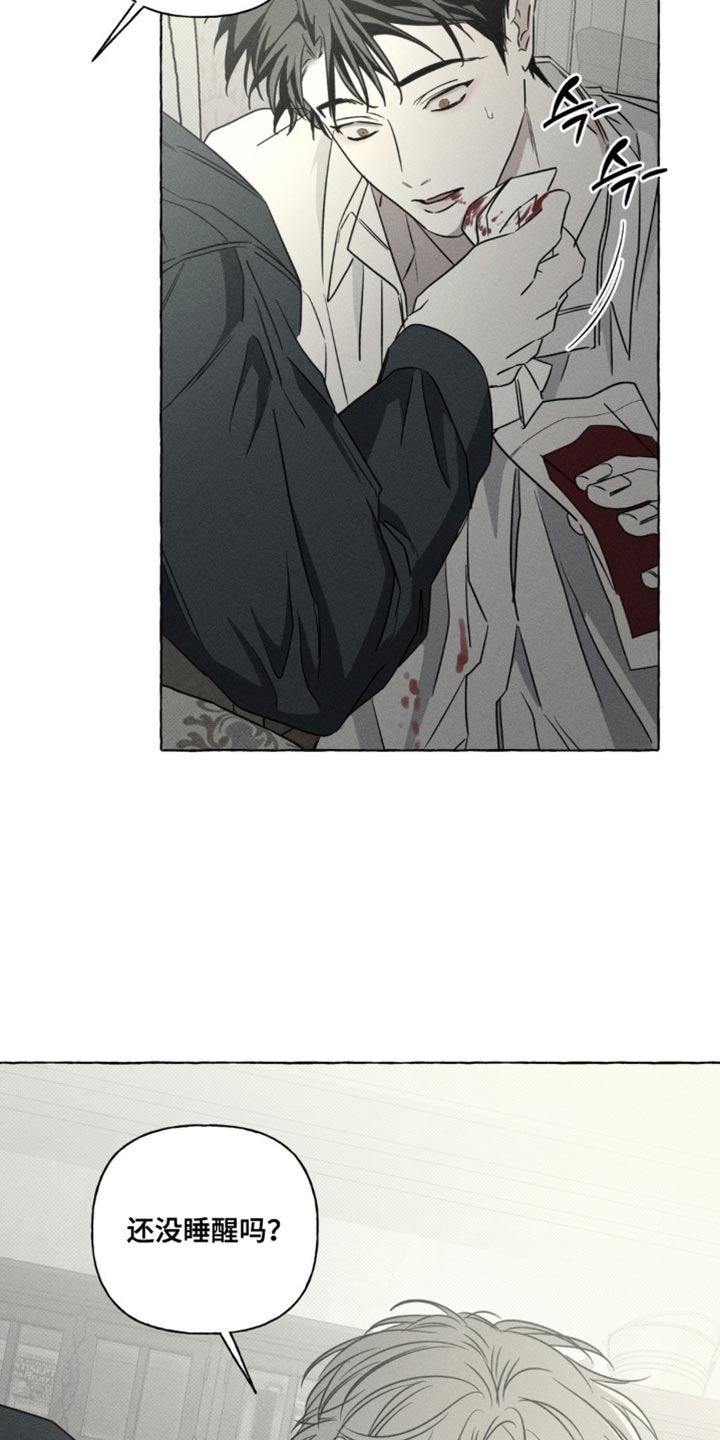 血族囚笼有哪些角色漫画,第87章：我喜欢你1图