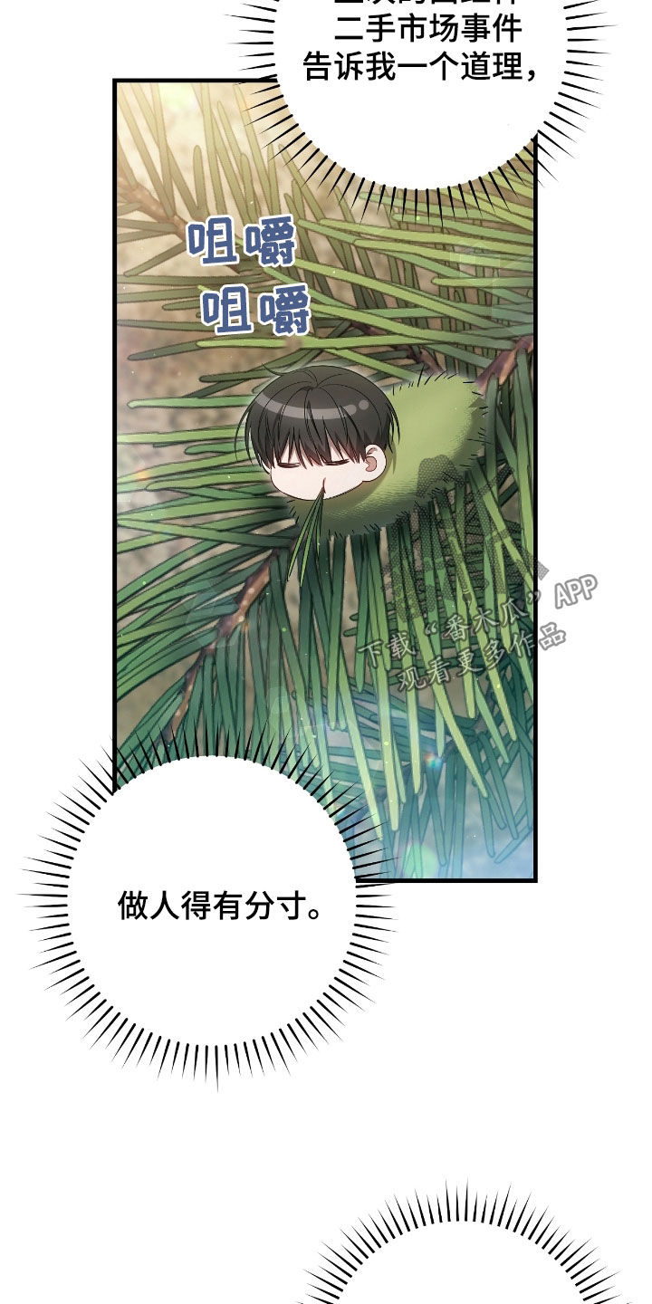 猎人回归漫画免费阅读漫画,第62章：价值连城5图