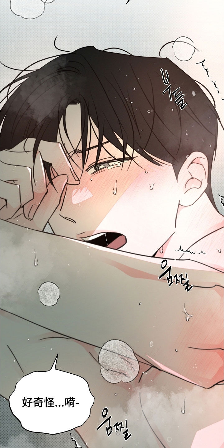 彩虹甜甜圈漫画,第65章：不打算停下来5图